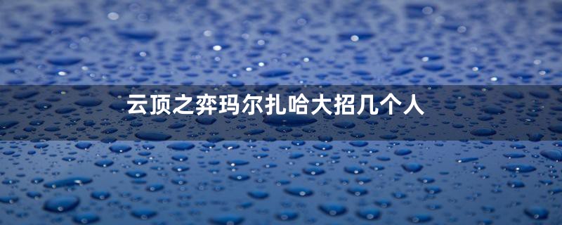 云顶之弈玛尔扎哈大招几个人