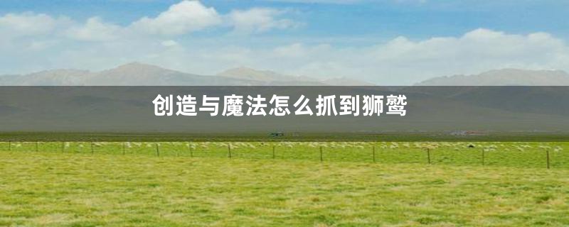创造与魔法怎么抓到狮鹫