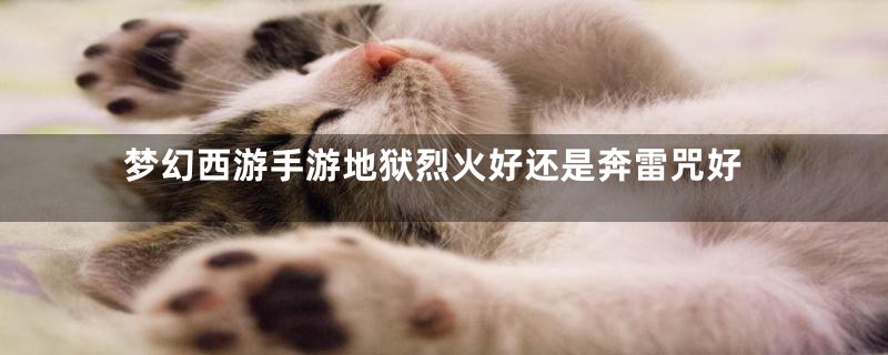 梦幻西游手游地狱烈火好还是奔雷咒好