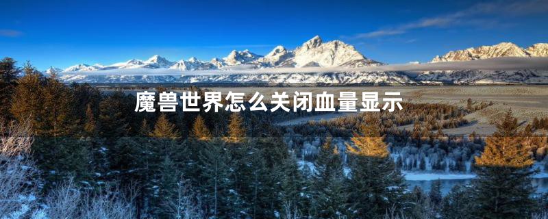 魔兽世界怎么关闭血量显示