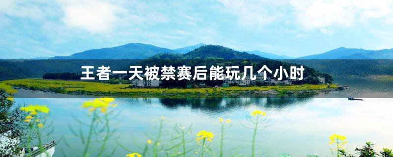 王者一天被禁赛后能玩几个小时