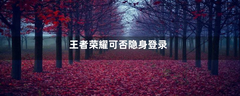 王者荣耀可否隐身登录