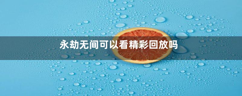 永劫无间可以看精彩回放吗
