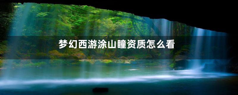 梦幻西游涂山瞳资质怎么看