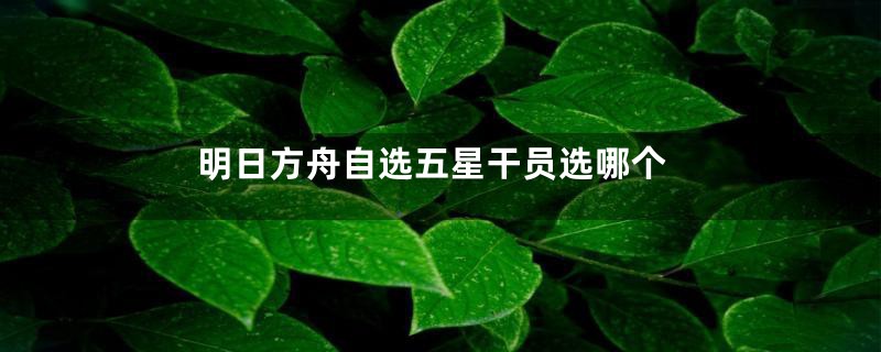 明日方舟自选五星干员选哪个