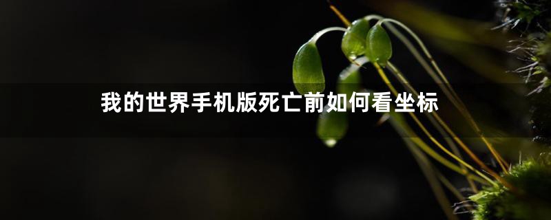 我的世界手机版死亡前如何看坐标