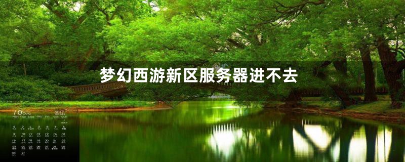 梦幻西游新区服务器进不去