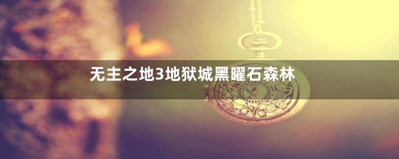 无主之地3地狱城黑曜石森林