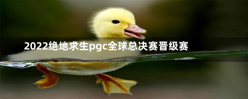 2022绝地求生pgc全球总决赛晋级赛