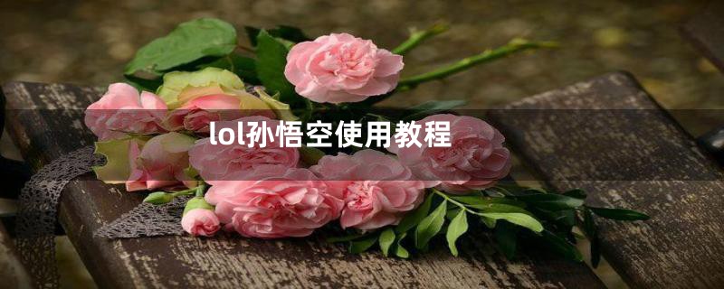 lol孙悟空使用教程