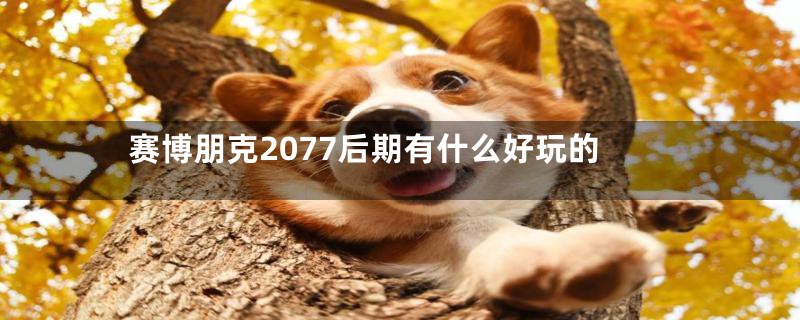 赛博朋克2077后期有什么好玩的