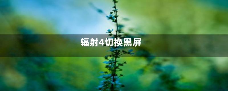 辐射4切换黑屏