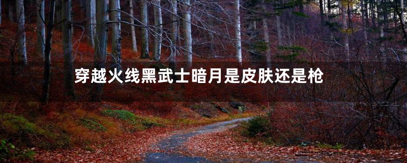 穿越火线黑武士暗月是皮肤还是枪