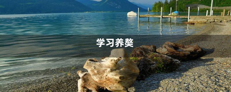 学习养獒