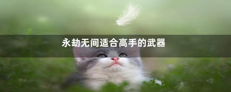 永劫无间适合高手的武器