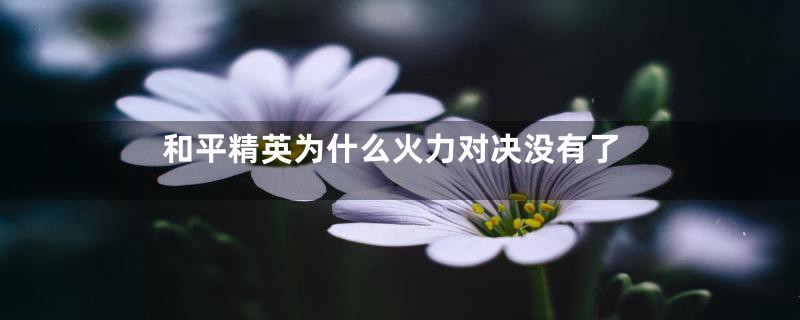 和平精英为什么火力对决没有了