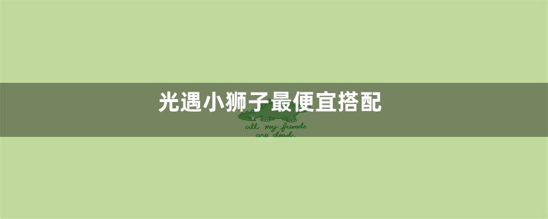 光遇小狮子最便宜搭配