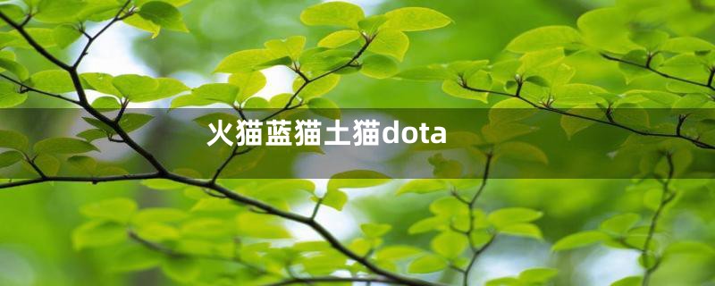 火猫蓝猫土猫dota