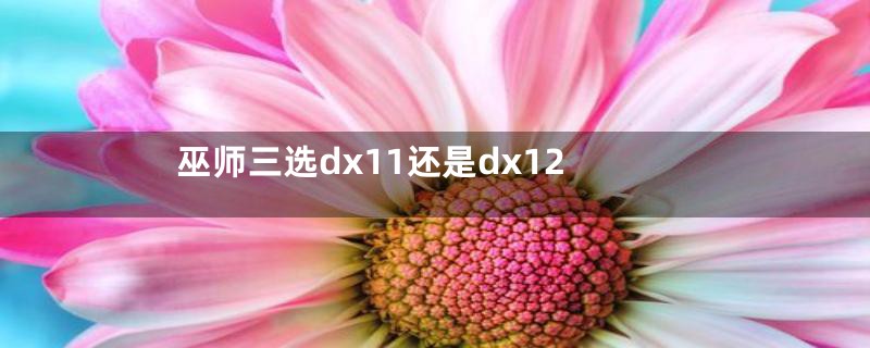 巫师三选dx11还是dx12