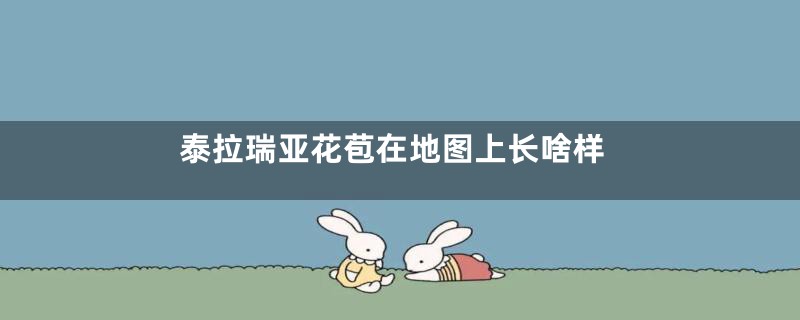 泰拉瑞亚花苞在地图上长啥样