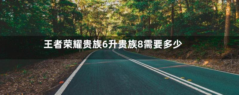 王者荣耀贵族6升贵族8需要多少