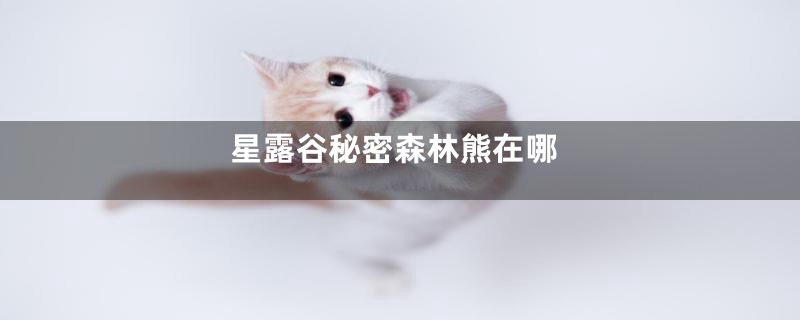 星露谷秘密森林熊在哪