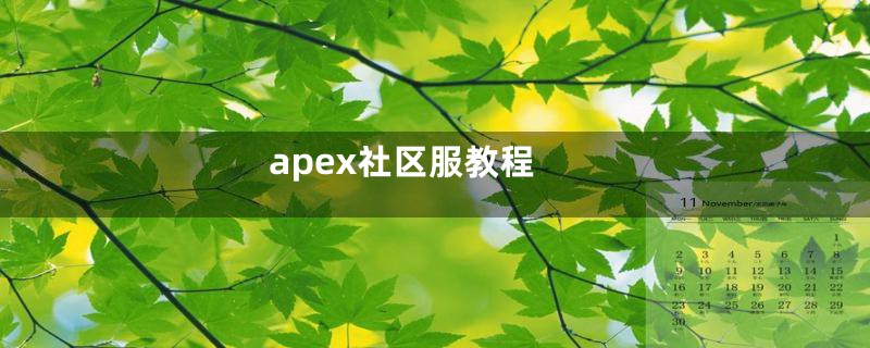 apex社区服教程