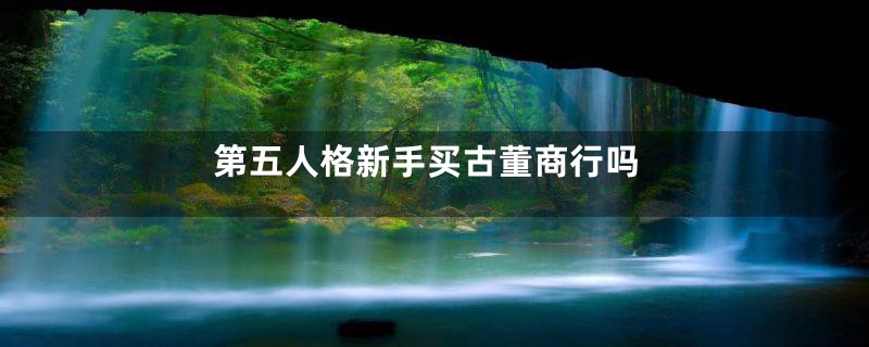 第五人格新手买古董商行吗