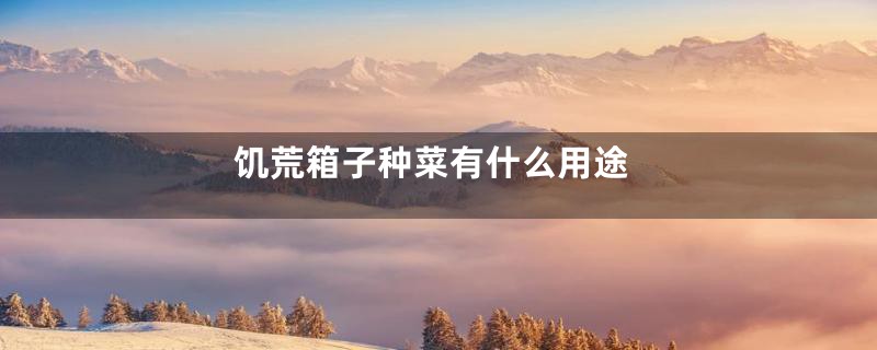 饥荒箱子种菜有什么用途