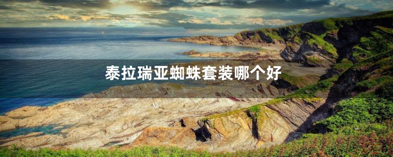 泰拉瑞亚蜘蛛套装哪个好
