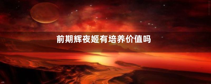 前期辉夜姬有培养价值吗
