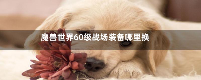 魔兽世界60级战场装备哪里换