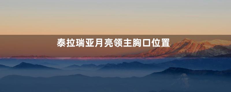 泰拉瑞亚月亮领主胸口位置