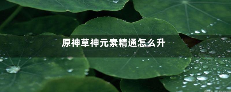 原神草神元素精通怎么升