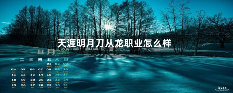 天涯明月刀从龙职业怎么样