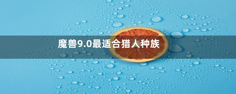 魔兽9.0最适合猎人种族