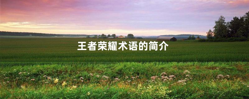 王者荣耀术语的简介
