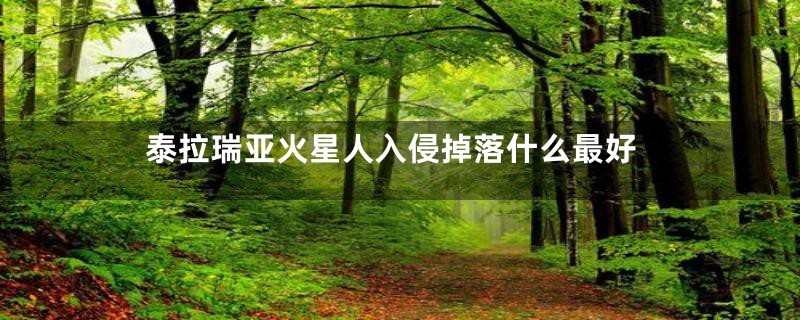泰拉瑞亚火星人入侵掉落什么最好