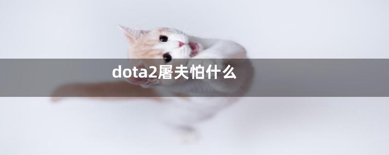 dota2屠夫怕什么