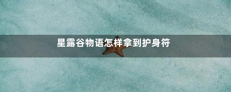 星露谷物语怎样拿到护身符