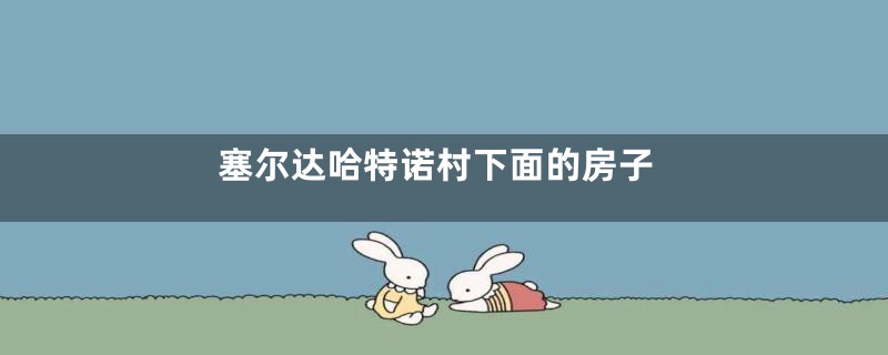 塞尔达哈特诺村下面的房子