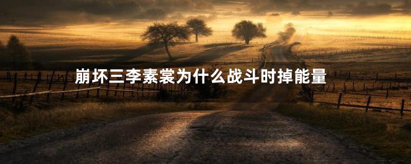 崩坏三李素裳为什么战斗时掉能量