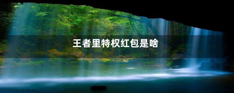 王者里特权红包是啥