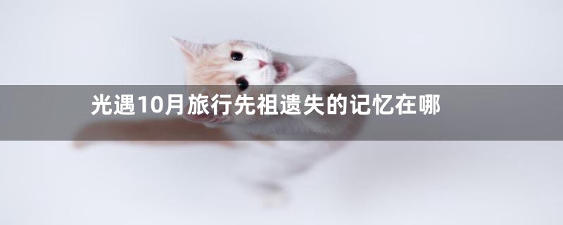 光遇10月旅行先祖遗失的记忆在哪