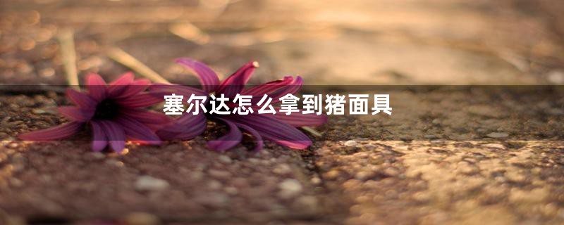 塞尔达怎么拿到猪面具
