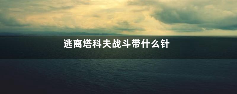 逃离塔科夫战斗带什么针