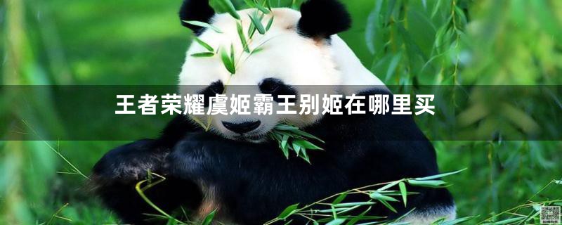 王者荣耀虞姬霸王别姬在哪里买
