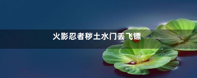 火影忍者秽土水门丢飞镖