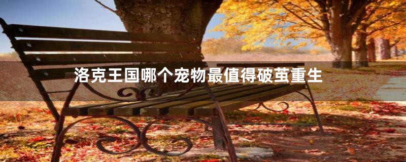 洛克王国哪个宠物最值得破茧重生