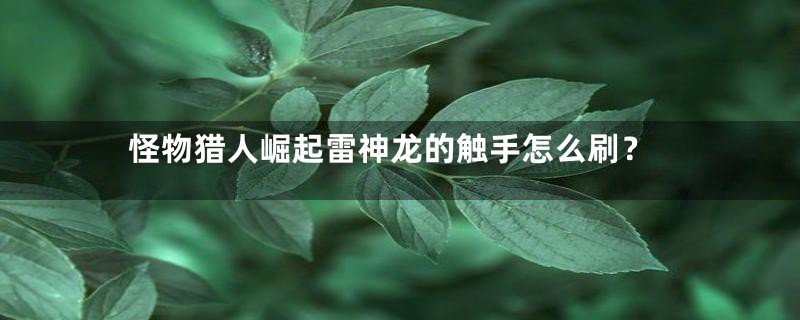 怪物猎人崛起雷神龙的触手怎么刷?
